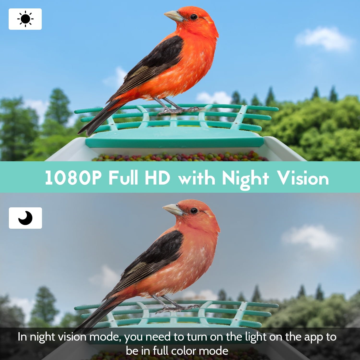 Birdkiss Bird Feeder with Camera, AI Identify Bird, Solar Panel, Built-in Microphone for Bird Watching Lovers