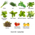 thumbnail image 4 of AeroGarden Salad Bar Seed Pod Kit (24-pod), 4 of 10