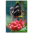thumbnail image 1 of Picture-Tiles.com: Butterfly Ceramic Tile Wall Mural WAL500281-46XL. 48"W x 72"H using (24) 12" x 12" Ceramic Tiles-Satin Finish, 1 of 3