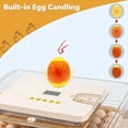 thumbnail image 2 of 56 Egg Incubator for Hatching Eggs, Chicken Incubator for Eggs with Automatic Egg Turning and Humidity Control, Temperature Control & Egg Candler, Incubator for Chicken Quail Duck Goose Bird, 2 of 8