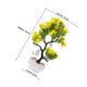 thumbnail image 5 of unbranded Planta Bonsái Artificial Decorativa Para Hogar U Oficina Sin Mantenimiento, 5 of 6