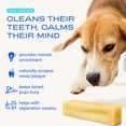 thumbnail image 2 of Native Pet Yak Dental Chews Himalayan Cheese Dog Treats for Dogs, Small 5ct, 2 of 10