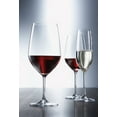 thumbnail image 5 of Schott Zwiesel Tritan Crystal Glass Forte Stemware Collection Burgundy/Light Red & White Wine Glass, 13.6-Ounce, Set of 6, 5 of 5