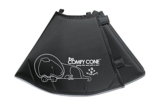 Comfy cone walmart Clearance
