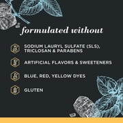 Burts Bees Toothpaste, Natural Flavor, Charcoal with Fluoride Toothpaste, Mountain Mint, 4.7 oz