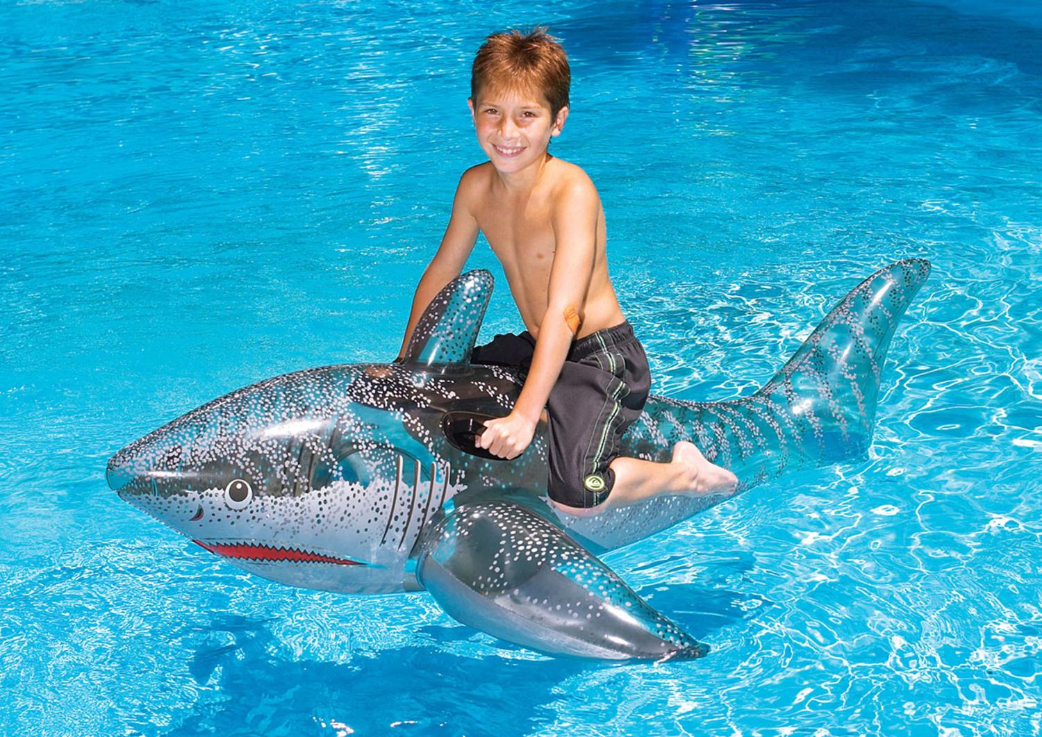 whale shark pool float
