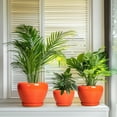 thumbnail image 4 of Ceramic Planter Pots Set of 3 with Drainage Hole & Saucer,10/8/6 inch Round Pots for Indoor Plants Flowers & Houseplants Patio & Outdoor Use Orange, 4 of 8