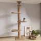 thumbnail image 1 of Cat Tree Floor to Ceiling Cat Tower Adjustable Kitten Multi-Level Condo With Scratching Post Pad Hammock Pet Cat Activity Center ShopWise Round, 1 of 11