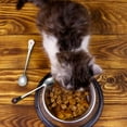 thumbnail image 6 of Pet Can Spoon - Stainless Steel Dog Cat Spoon for Food Can, 6 of 7