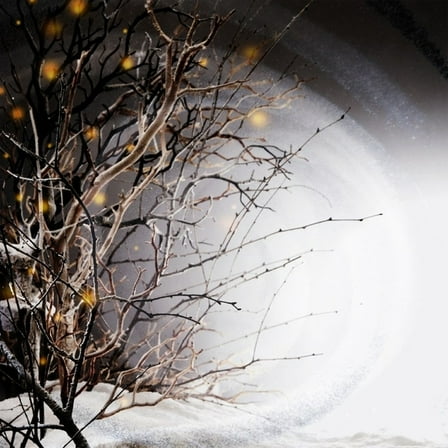 Winterlight - Winterlight - Music & Performance - Vinyl