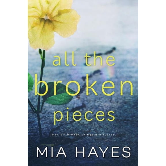 Waterford Novel All The Broken Pieces, Book 2, (Paperback)