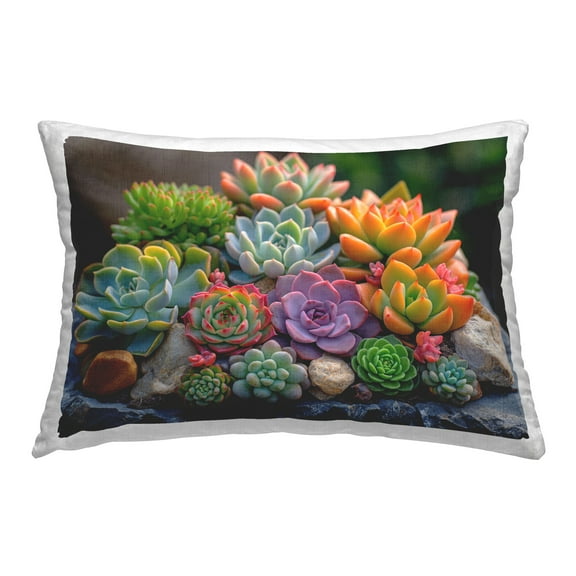 Stupell Industries Bold Succulent Botanicals Decorative Printed Throw Pillow Design by Imagine It Images