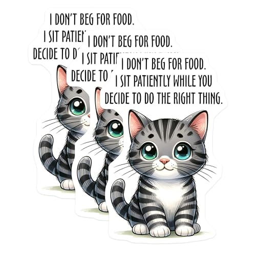 (3 Pack) Funny Cat Decals - Tabby Cat Saying - Laptop Car Decal - 3 Inches On Longest Side - Easy Peel & Apply - Made in USA - 3MCS1907