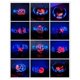 thumbnail image 4 of Kit de LED giratorio esférico de doble eje con pantalla de reloj a color, control remoto, microcontrolador, kit electrónico DIY con descargador., 4 of 5