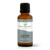 Plant Therapy Essential Oils Gut Aid™ Blend 30 mL (1 oz) 100% Pure, Undiluted