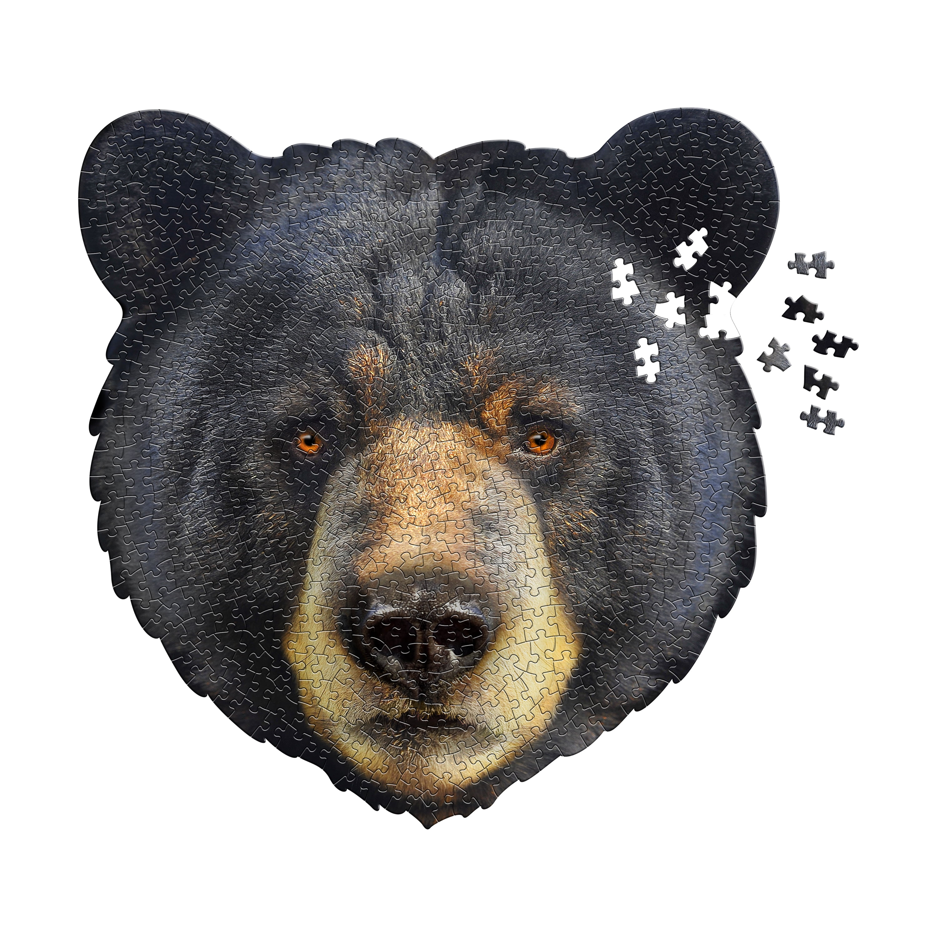 Madd Capp BEAR 550 Piece Jigsaw Puzzle For Ages 10 and up - 3004 - Unique Animal-Shaped Border, Poster Size, Challenging Random Cut, Five-Sided Box Fits on Bookshelf, Includes Educational Fun Facts