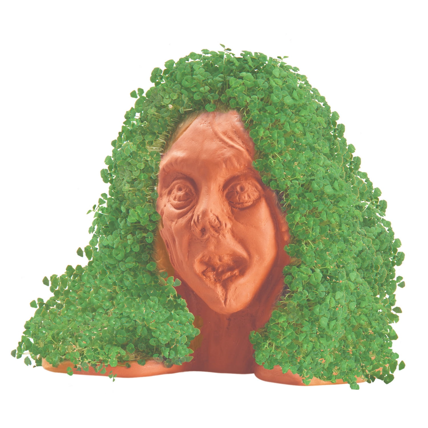 Chia Pet Zombie Lifeless Lisa - Decorative Pot Easy to Do Fun to Grow Chia Seeds