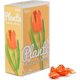 thumbnail image 1 of Iconic Tulips Flower Bouquet Brick Toy, Ideas for Kids and Adults Building Block Plants Flowers Gift, 2022 New ( Sunset Orange, 62 Pieces), 1 of 4