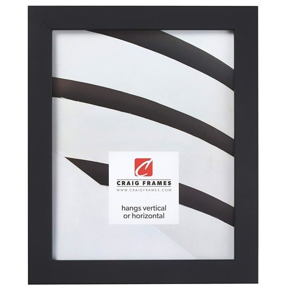 Craig Frames Essentials, Modern 1 Inch Picture Frame, 16 x 24 Inch, Black