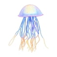 thumbnail image 2 of Clear Jellyfish Decor, Floating Artificial Jellyfish Ornament for Fish Tank Aquarium, Swims with Water Flow, Blue, 4.53 x 2.56 Inch, 2 of 7