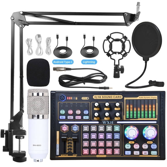 Carte Son microphone Externe de studio d'Enregistrement Professionnel avec l'Équipement de Réglage (Blanc-Argent)