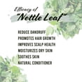 thumbnail image 2 of Well’s Oil Dried Herb Nettle Leaf | 100% Natural Nettle Leaf | DIY Herbal Infusion Ingredient | Cosmetic Use Only | 0.5 oz (14 g), 2 of 4
