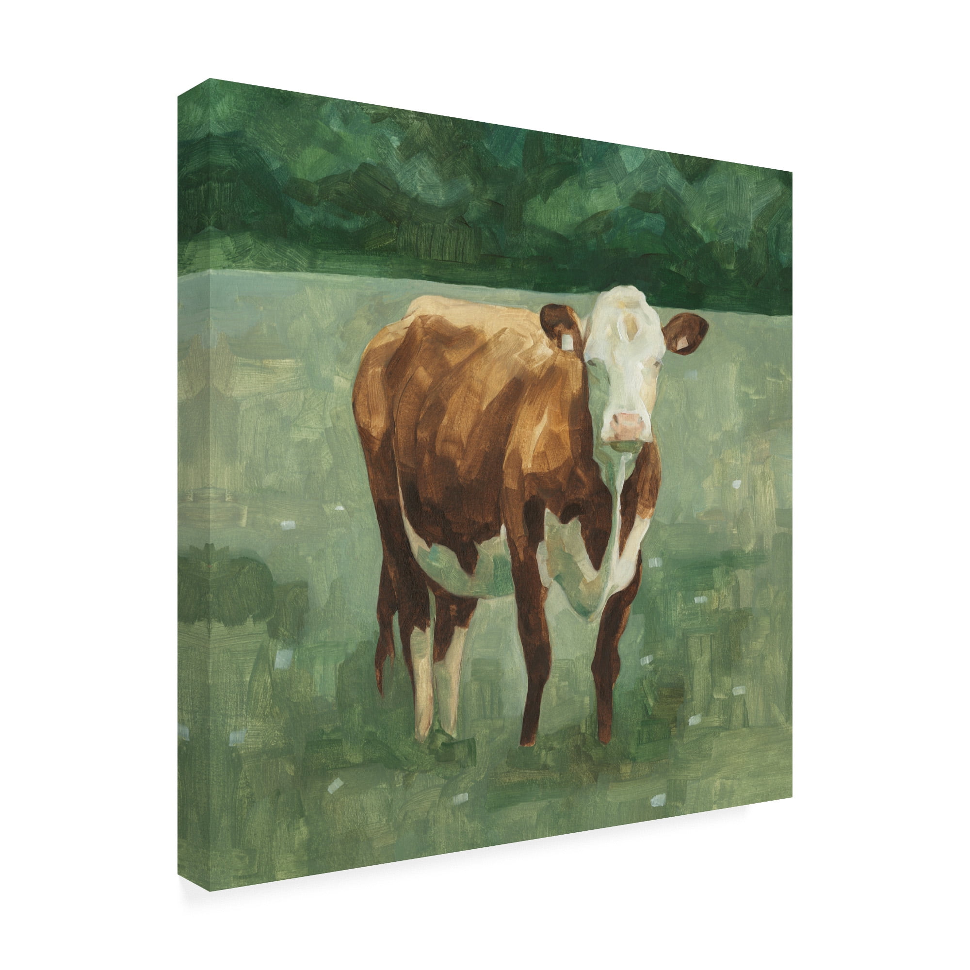 Trademark Fine Art 'Hereford Cattle I' Canvas Art by Emma Scarvey