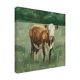 thumbnail image 2 of Trademark Fine Art 'Hereford Cattle I' Canvas Art by Emma Scarvey, 2 of 3