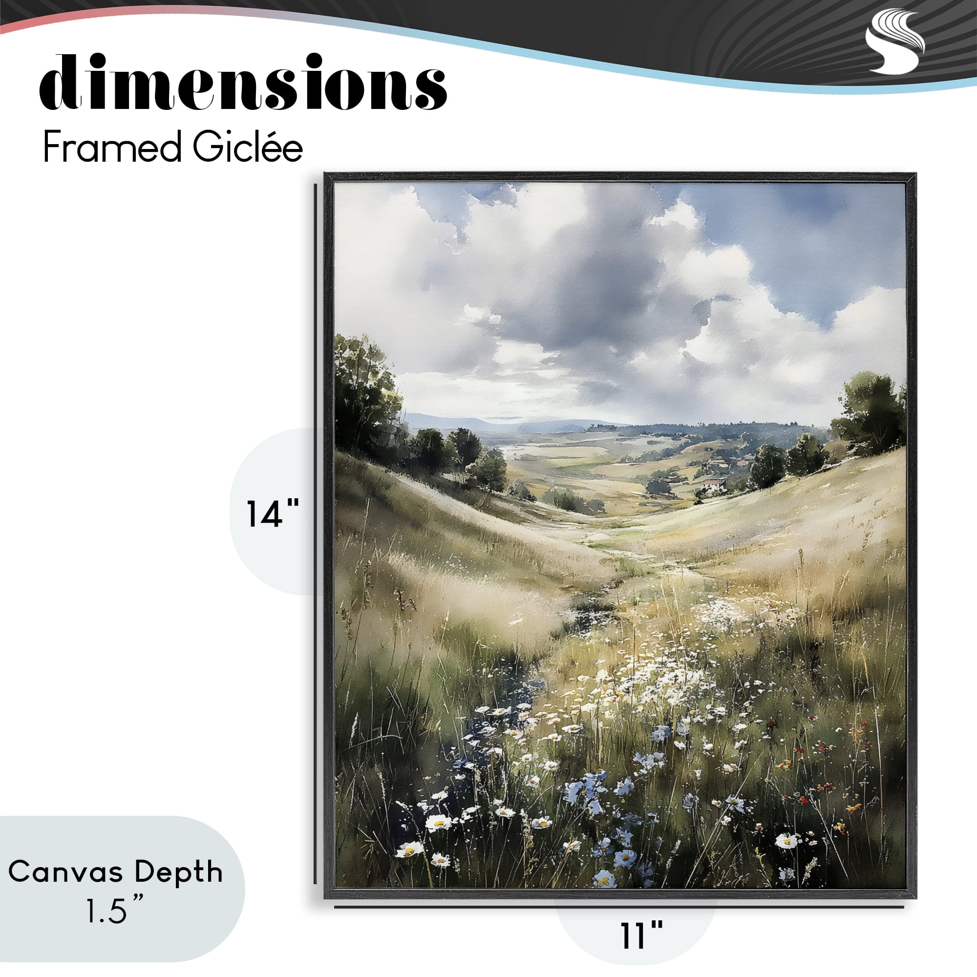Stupell Industries Floral Valley of Wild Daisies Black Framed Giclee Art, design by Franklyn Gregory