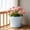 White, variant on Thickened Flower Pot, Sturdy Ceramic Texture Plants Vessel for Household Balcony Patio Landscaping Garden Decor Plants Container
