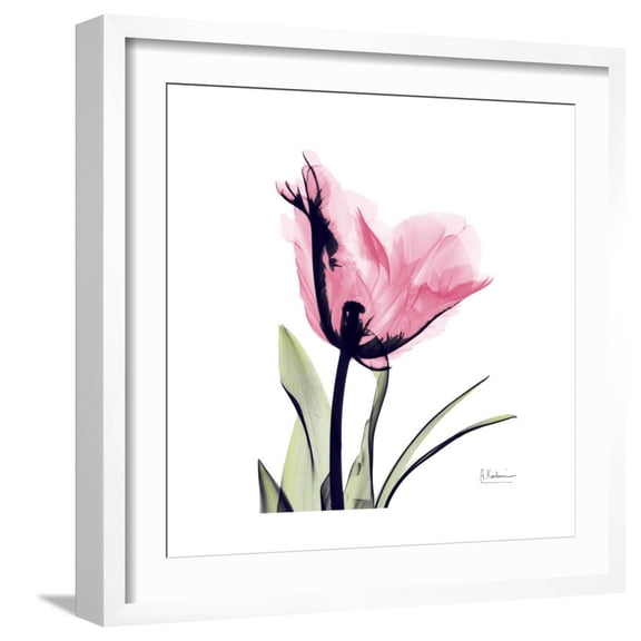 Art.com Pink Tulip Art Print by Albert Koetsier, White Frame Wall Art, 21" x 21"