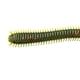 thumbnail image 5 of 8pcs Jig Head Cebos de pesca suave Señuelos de artificial Swimbaits de lombriz Color 303, 5 of 7