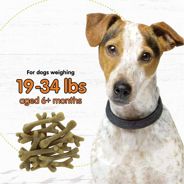 Super breath dental store care dog bone