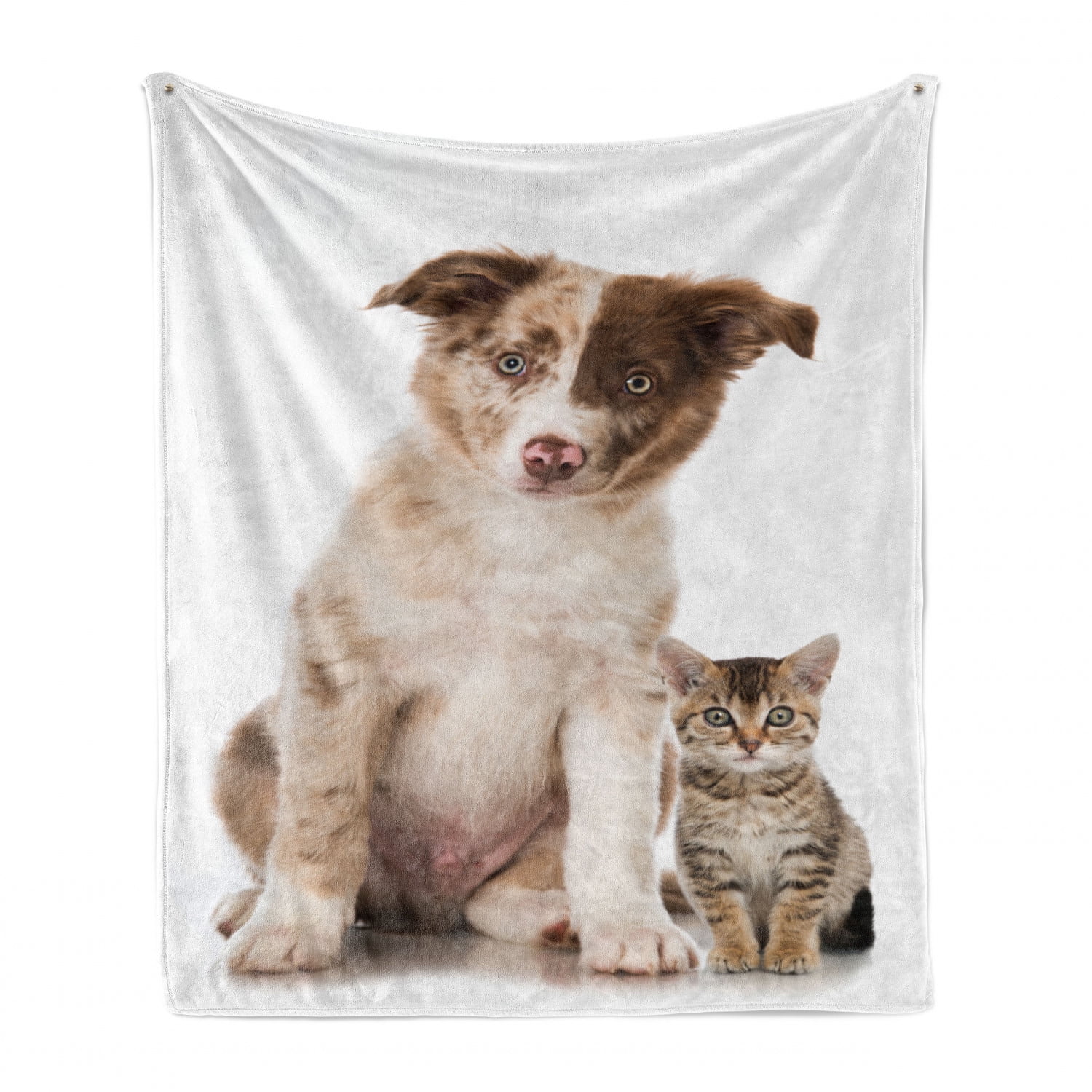 Ambesonne Dog and Cat Soft Flannel Fleece Throw Blanket Cozy Plush for Indoor and Outdoor Use Border Collie Puppy and a Mixed Breed Kitten Looking Shocked 50 x 60 Brown Ecru 