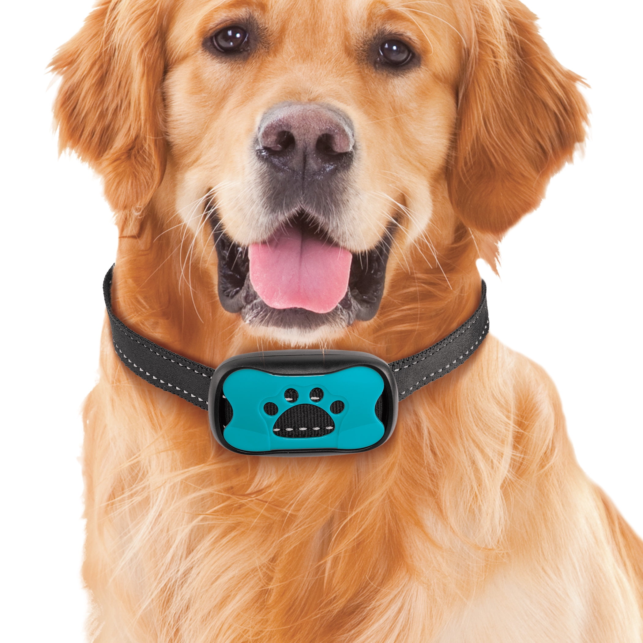 guardian bark collar walmart