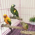 thumbnail image 3 of 5Pcs Natural Wood Bird Perch Stand Hanging Multi Branch Perch  Budgie Platform Bird Parakeet Toys For Parakeets Finches, 3 of 9