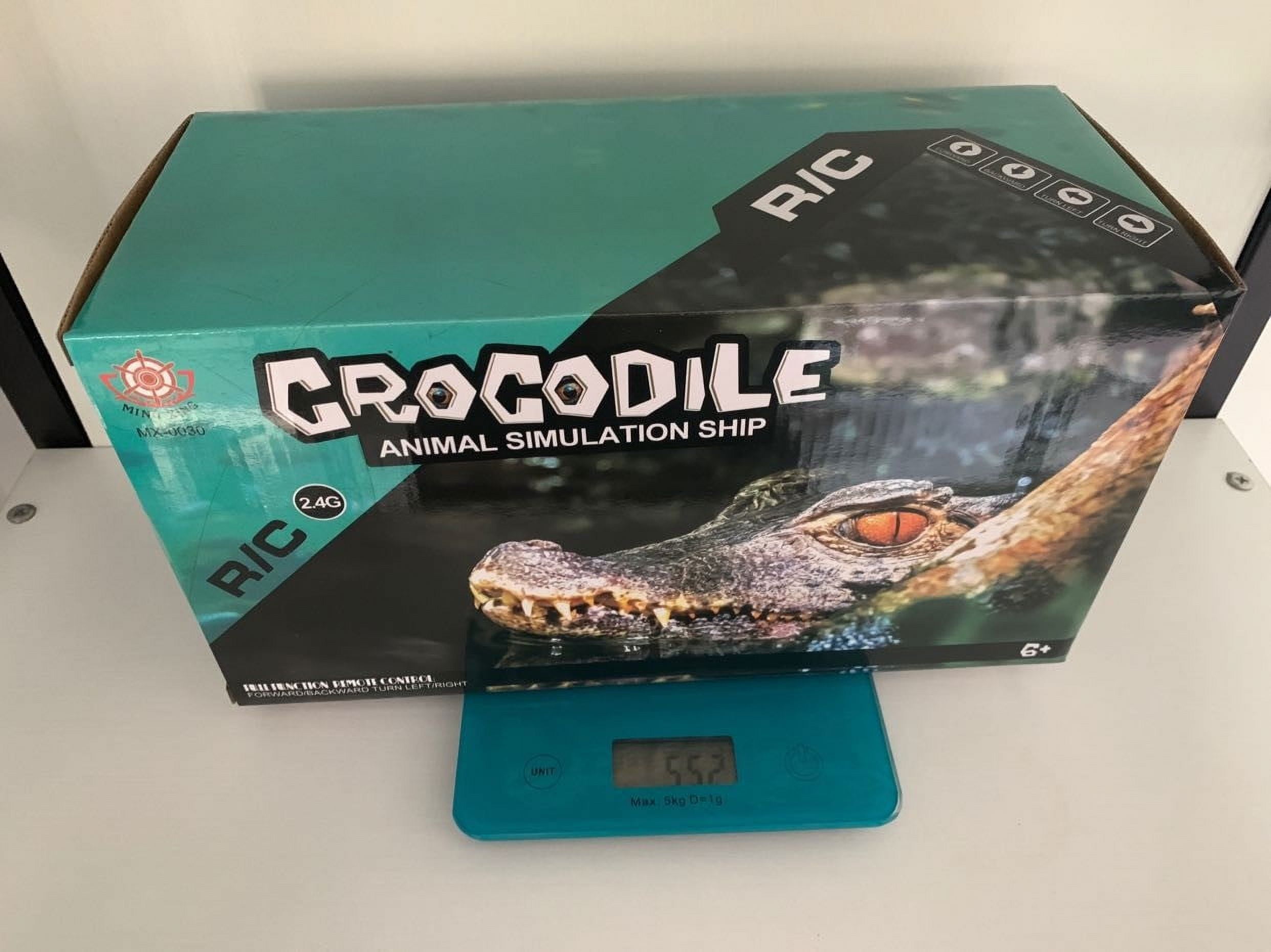 2.4G Remote Control Alligator Speedboat Water Racing Toy 4-Channel RC Boat Pool Lake Outdoor Play Simulated Animal Design Anti-Flip System LED Light Effects for 14+ Years