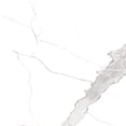 thumbnail image 4 of The Tile Life Windsor 4" x 4" Calacatta Matte Porcelain Tile Sample, 1 Piece, 4 of 15