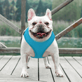 thumbnail image 3 of MoNiBloom No Pull Dog Harness, Pet Vest Adjustable Mesh Breathable Harnesses for Dogs Walking, Sky Blue L, 3 of 8