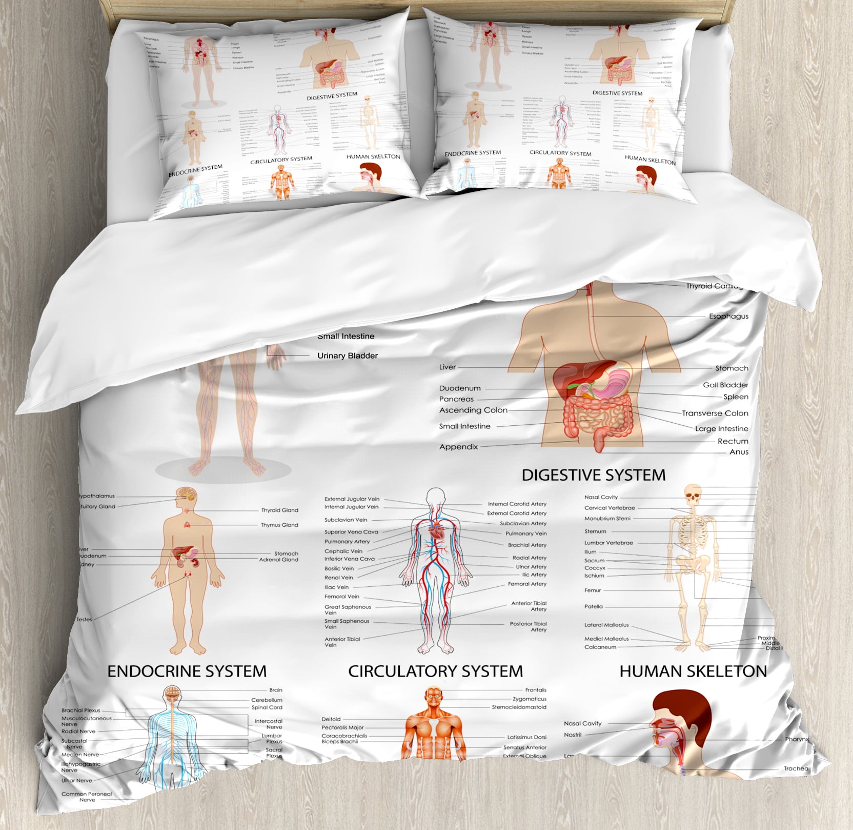 Human Anatomy Queen Size Duvet Cover Set Complete Chart Of