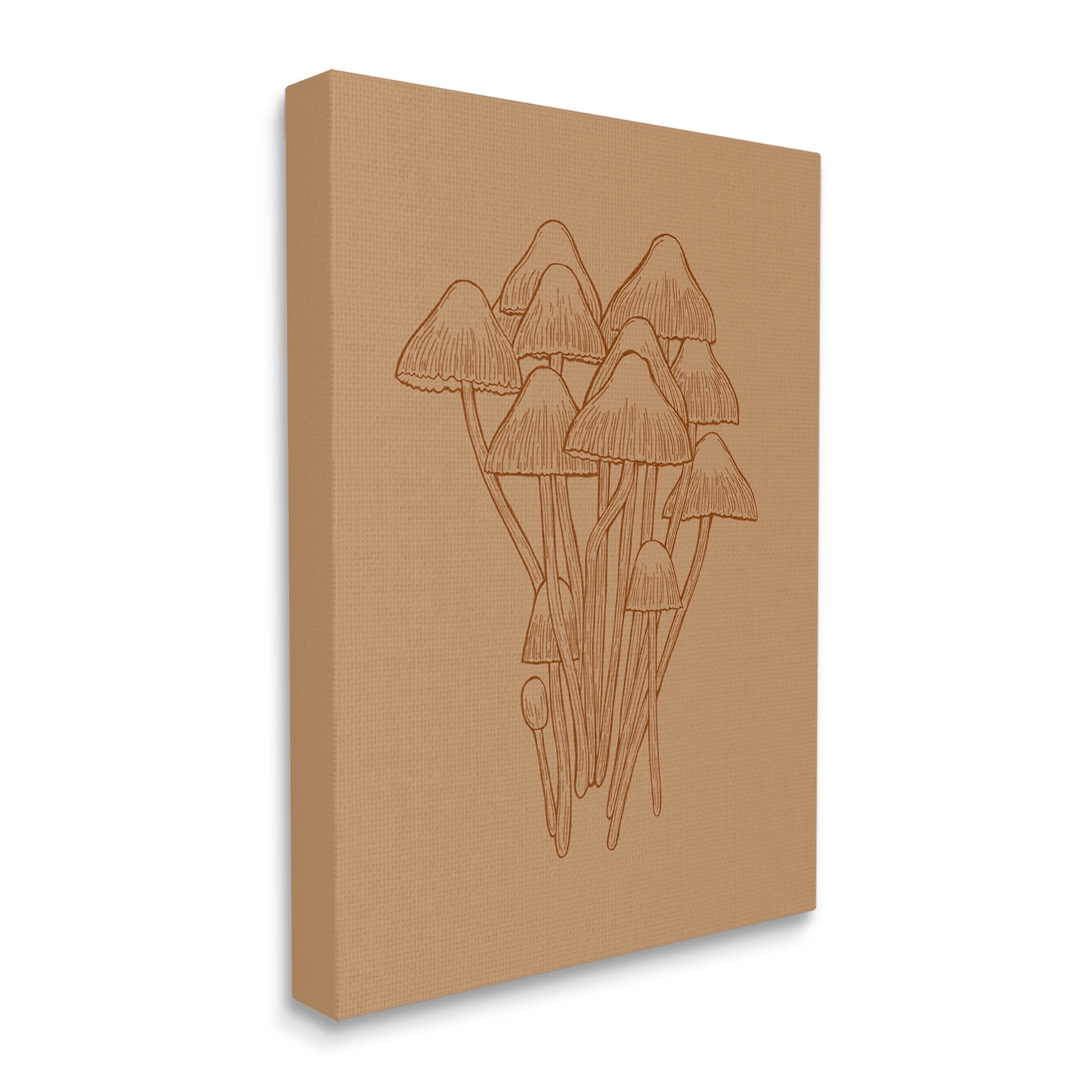 Stupell Industries Brown Mushrooms Detailed Nature Graphic Art Gallery Wrapped Canvas Print Wall Art, Design by Ziwei Li