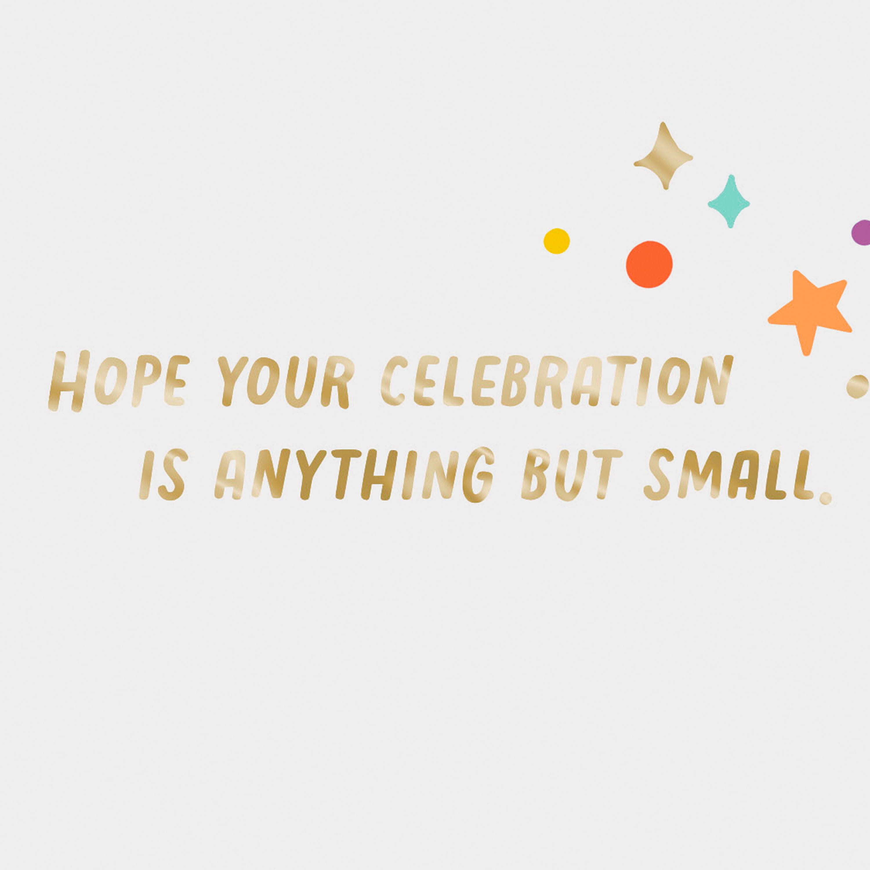 Hallmark And Venmo Birthday Greeting Card (Wish Big)