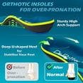 thumbnail image 3 of DR. POTTER+ Plantar Fasciitis Insoles, 220+lbs Heavy Duty High Arch Support Inserts, Orthotics Insoles for Flat Feet and Foot Pain Relief (305MM), 3 of 7