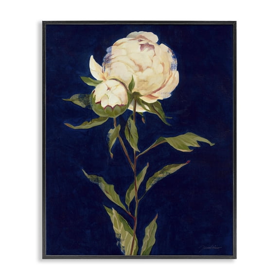 Stupell Industries Traditional Budding Rose Blossoms Black Framed Giclee Art, 16 x 20, by Liz Jardine