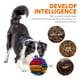 thumbnail image 5 of Pelota olfateadora para perros, juguete para cachorros, tapete, rompecabezas para perros, accesorios para mantenerlos ocupados, juegos interactivos de alimentación, 5 of 6