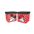 thumbnail image 2 of Organizadores de cubos con diseño de Mickey y Minnie de Disney, 38 cm, 2 of 6