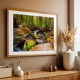 thumbnail image 5 of A Beautiful Stream in Shenandoah National Park, VA - Virginia Photography Forest Nature Landscape Woodland Scenic Wilderness Water Unframed Wall Art Print 20 x 28 inches, 5 of 7