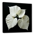 thumbnail image 2 of Designart "Artistic Depiction Of Black And White Leaves On Glass I" Leaves Floater Framed Wall Decor, 2 of 5