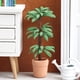 thumbnail image 2 of Casa de muñecas en miniatura, árbol de dinero, madera brasileña, escala 1:12, 2 of 3