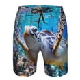 thumbnail image 3 of Goofa Sea Turtle Swims Printed Mens Swim Trunks Summer Quick Dry Short Beach Swimwear Bathing Suits-Large, 3 of 9